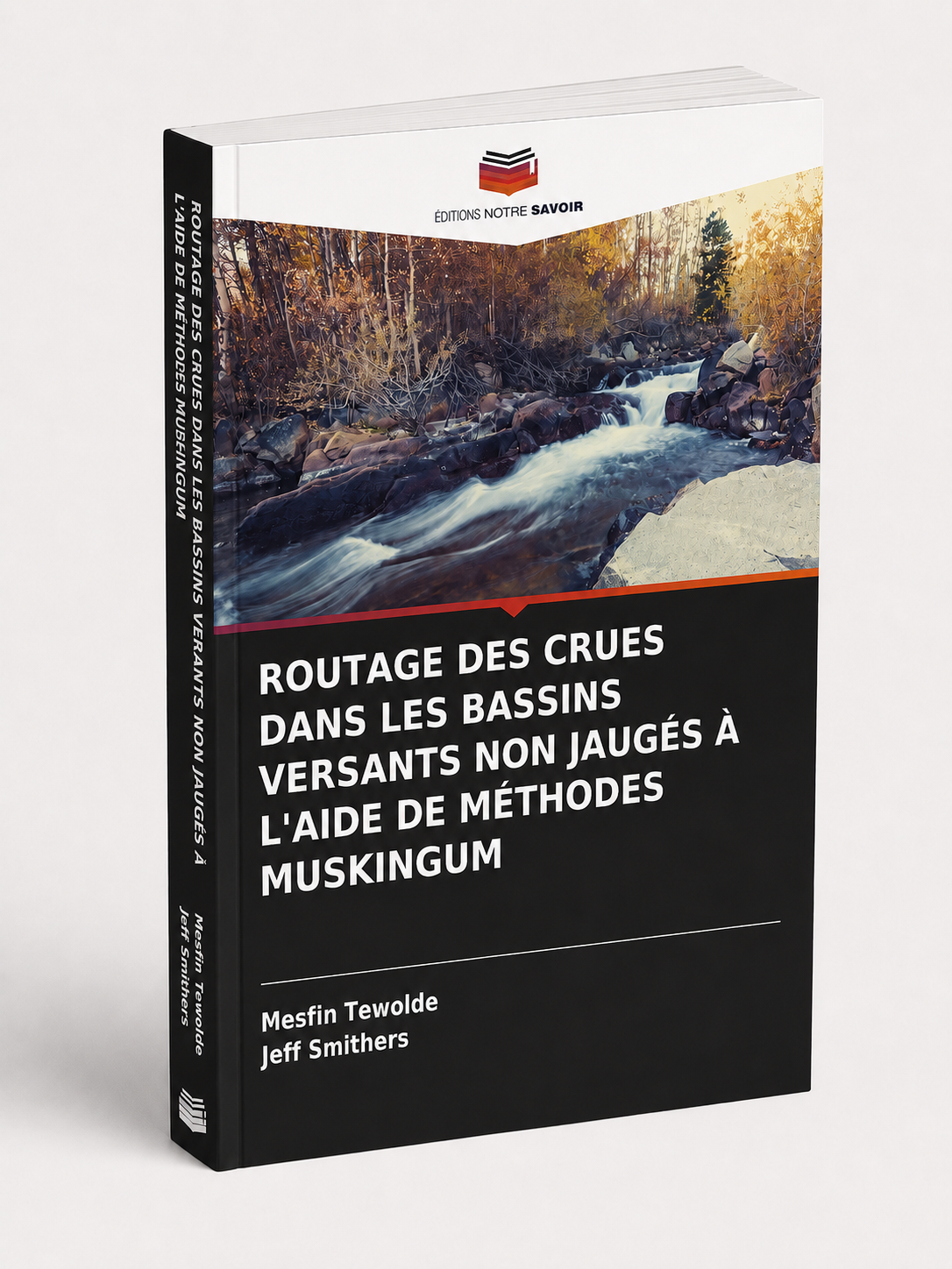 Routage des Crues dans les Bassins Versants Non Jaugés à l'Aide de Méthodes Muskingum (French Edition)