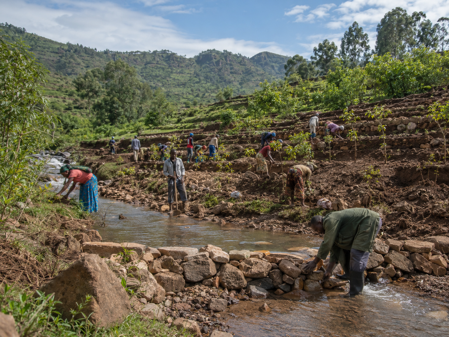 Community-led watershed restoration can help protect source waters, improve groundwater recharge, reduce erosion, and strengthen long-term water security.colored text