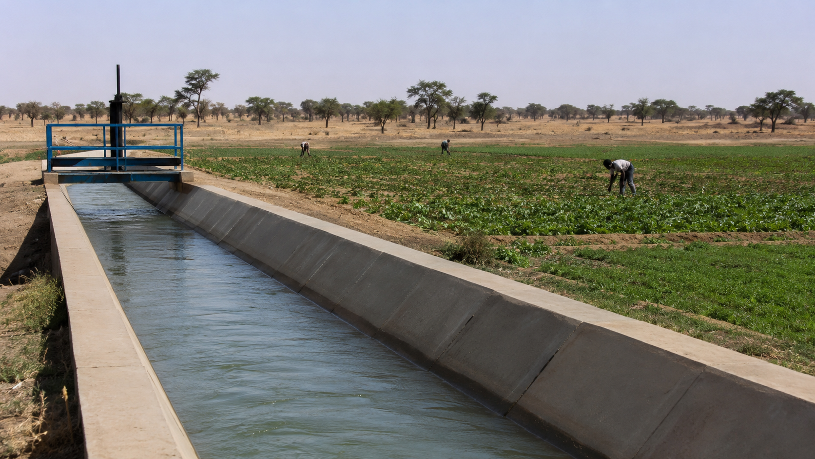 Concrete irrigation canal supplying water to cultivated fields in a Sahelian farming landscape, representing the irrigation-development vision of the Kandadji Program in Niger