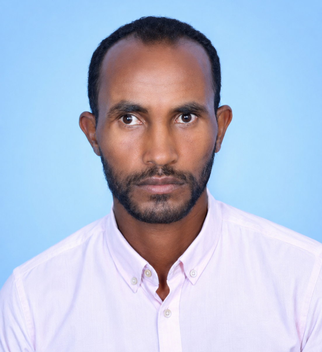 Eng. Assefa Lamesa Idia