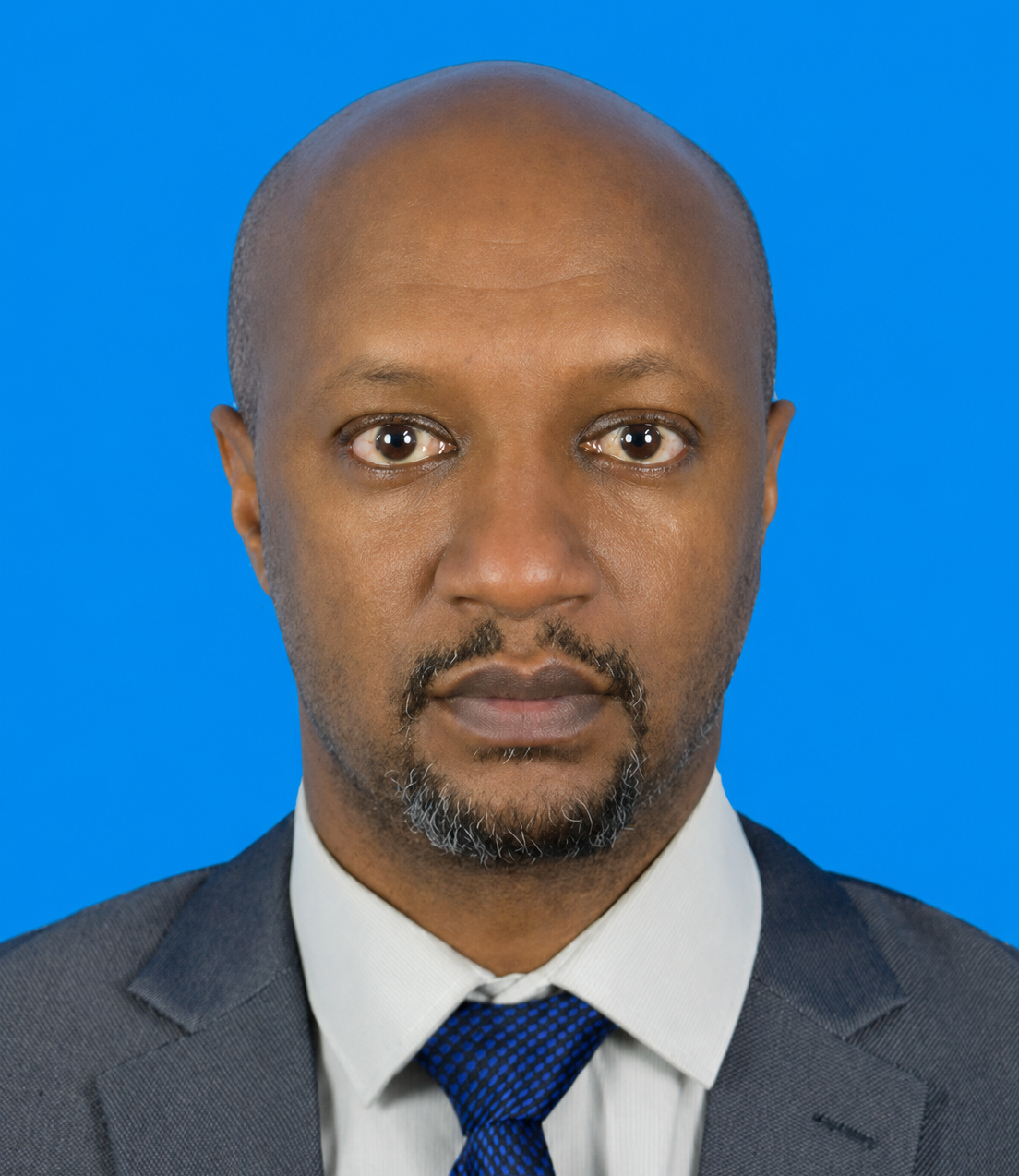 Dr. Eng. Elias Gebeyehu Ayele