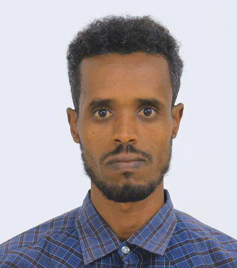 Dr. Eng. Mengesha Tesfaw Abay
